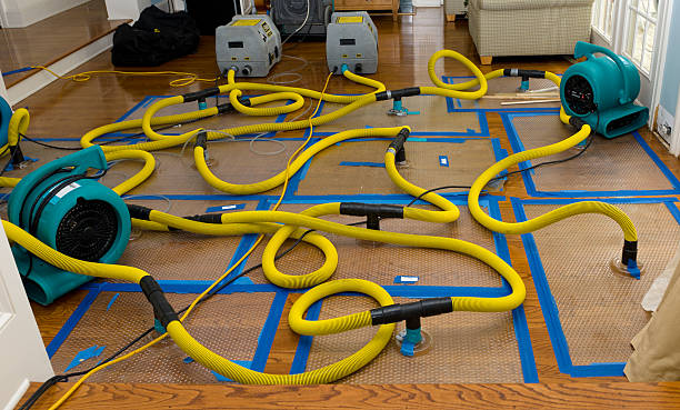 Professional Crawl Space Water Removal technician working in Winona, MN